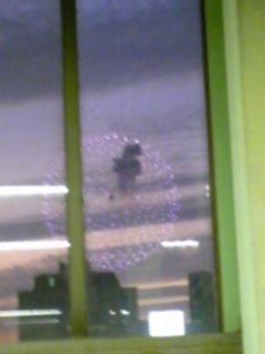 �����̉ԉ΂�