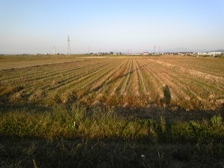 �u�Ƃ���P�O���v