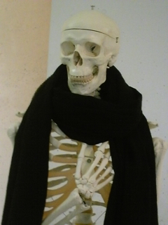 ���[�\���[