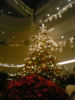 �}�N���X�R��