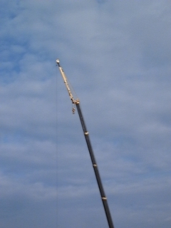 �������ڂɐ��݂�B