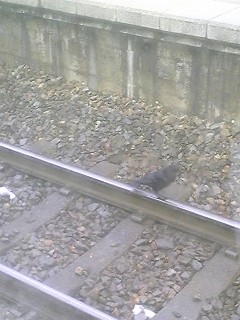 �����̓���