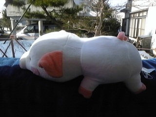 �|���̖W��