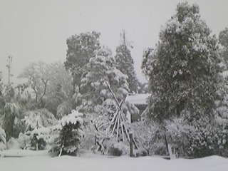 �f��������!!