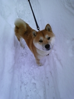 �w�������c�x