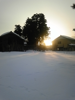 �u���W�����̉S