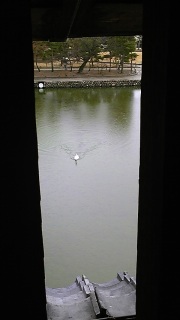 �V��t����