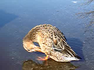 ����e�X�g