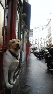 �������}���g���ŇD