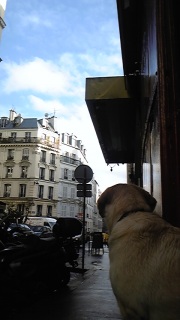 ���o�b�N�A�^�b�N