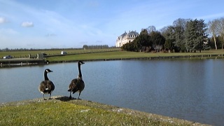 �����Ղ�����