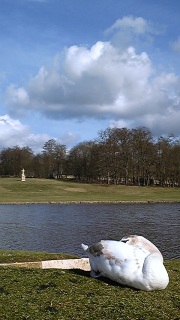 ���������݂���