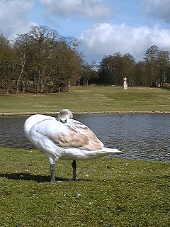 ���r�Ԃ�Ȃ�