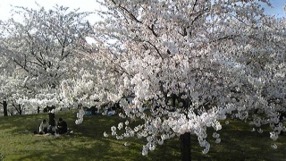 �Ԃ�����