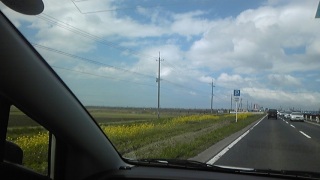 �Ă������񂩂�