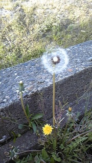 �ȖсA���u�I