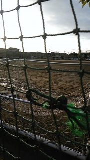 �t���C��