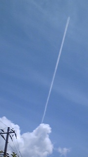 ���グ����q�R�[�L�_