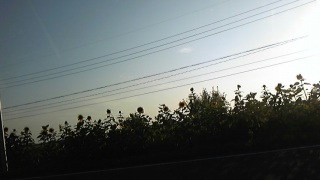 �������牷��