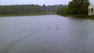 �R������