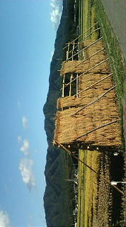 Fw:���H����