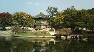 Fw:���e�̊؍����Q�L