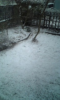 �z���C�g���u