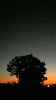 �����}����