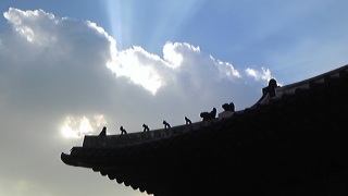 �����ɖ�����