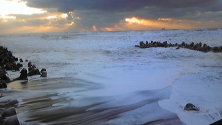 �C������