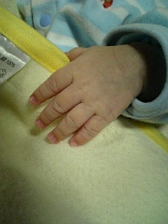 �肥��������