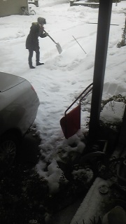 �u���L�̕���