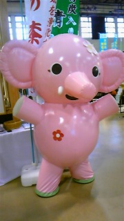 ���[���I�I