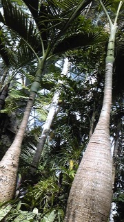 �������q