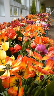 ���̂�������