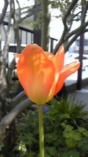 �n������