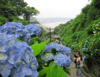 �A�W�T�C�Ղ�