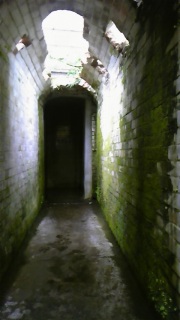 �s�v�c�ȕ���