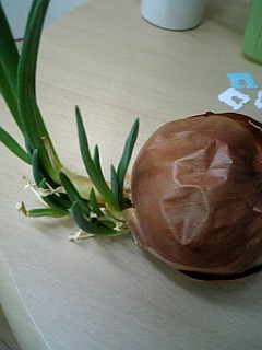 ���ꂩ�琔�J��