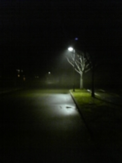 �L�V���w�������Ԃ�