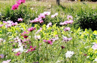 �����]��ł�