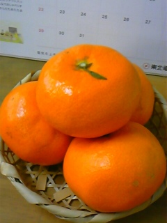 �����W���[�L�[