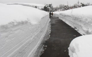 �ӂ݂�ނ���