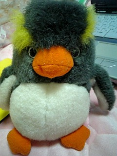 ���Ƃ����Ă����V�����F�B