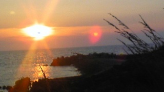 �l�K�e�B�u���f��