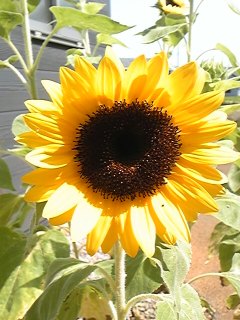 ��=����2