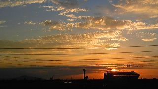 �����T���Z�b�g