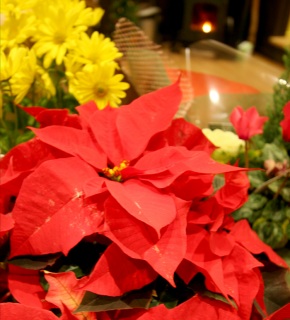 �V���E�W���E�{�N