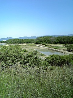 �����V�C�I