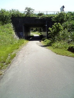 ���߂Ēʂ�܂�